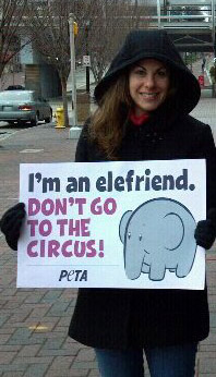 animal activist stacey