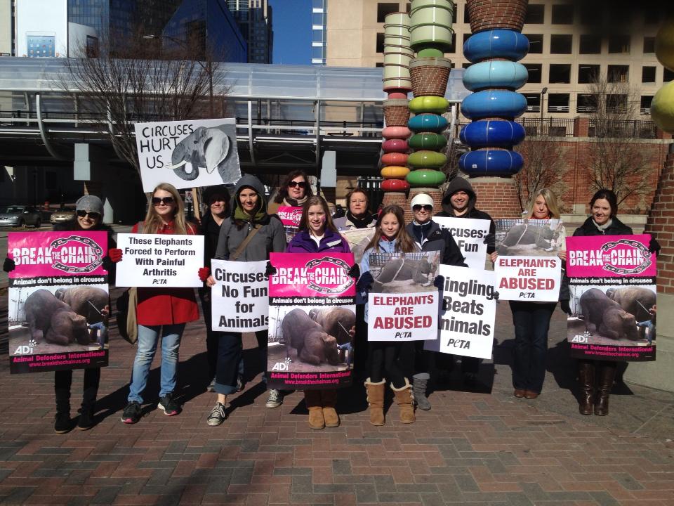 Behind The Scenes At A Circus&nbsp;Protest