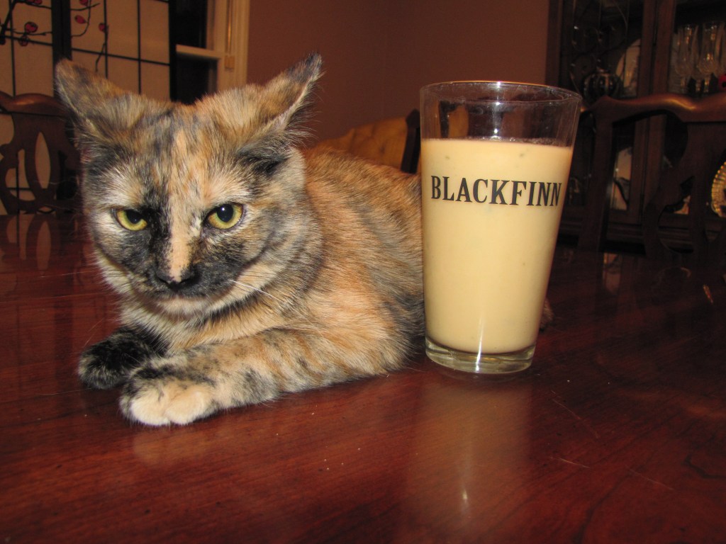 Cantaloupe Ginger Smoothie