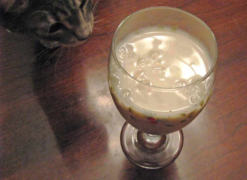 Vegan Crockpot Yogurt – Part II – PLUS A Recipe for Namkeen&nbsp;Lassi!