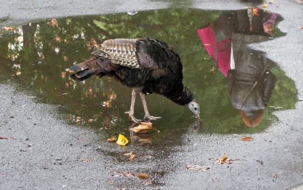 457187_3171418336769_2105829400_o