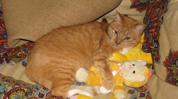 Children should have toys at Christmas. But for the adults on your list ... gifts should be voluntary and optional.