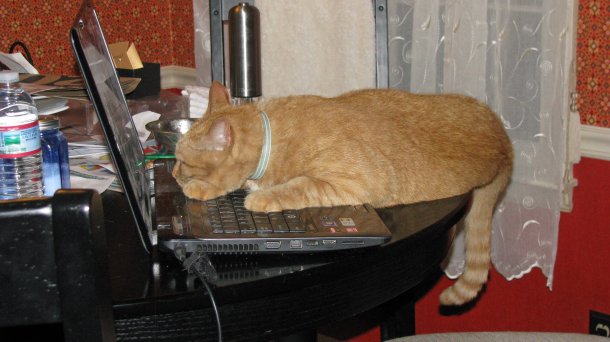 Electronics of all kinds are also usually neutral options.