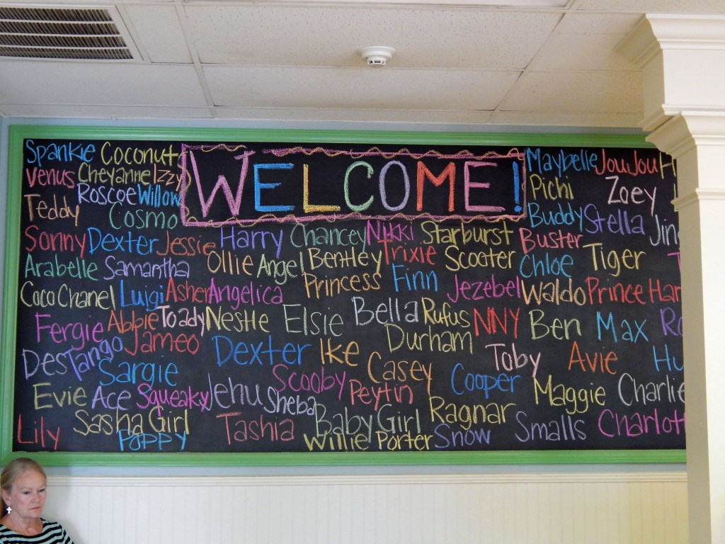 Blackboard at Spay Neuter Charlotte
