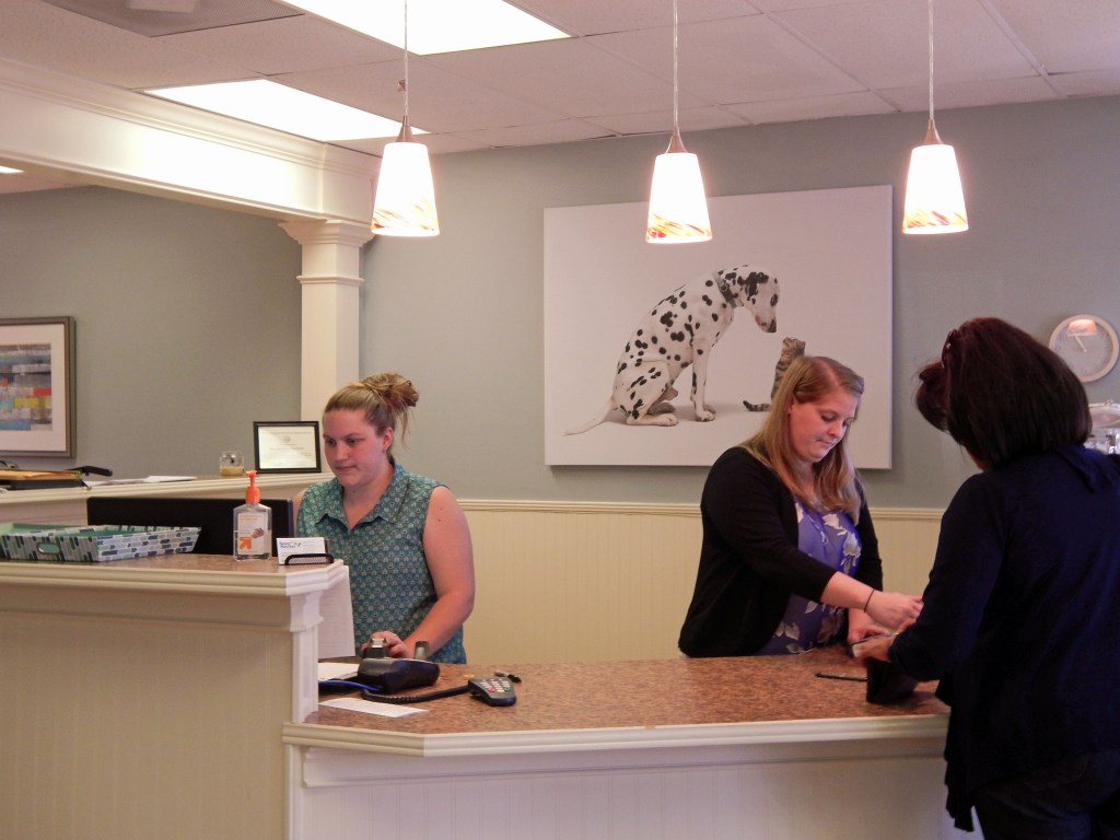 Front Desk Girls at Spay Neuter Charlotte