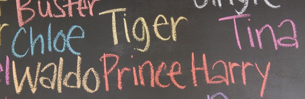 Tiger and Prince Harry's Name on Spay Neuter Charlotte Blackboard
