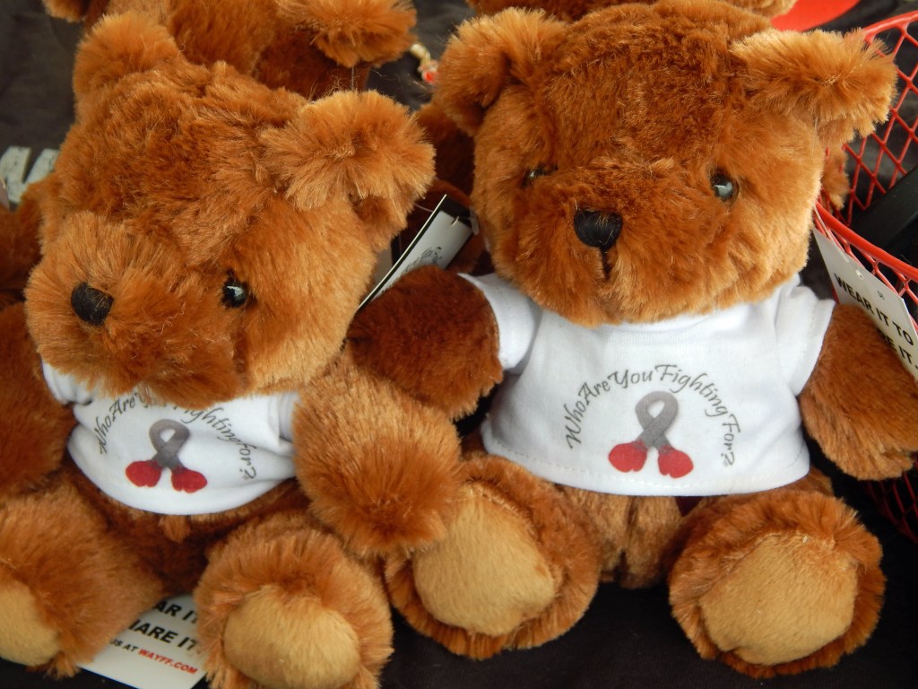 Who Are You Fighting For Teddy Bears