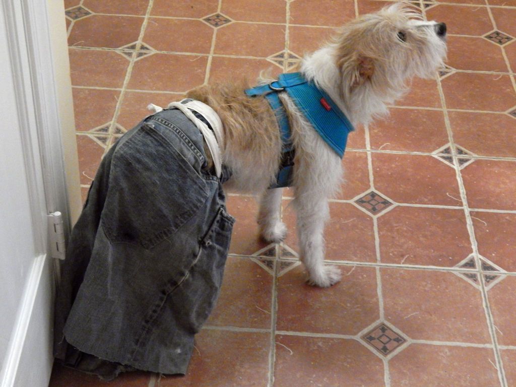 10012852_10202972356502275_653422576686732116_o