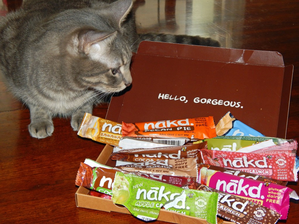 Cat Takes Closer Look At Nakd