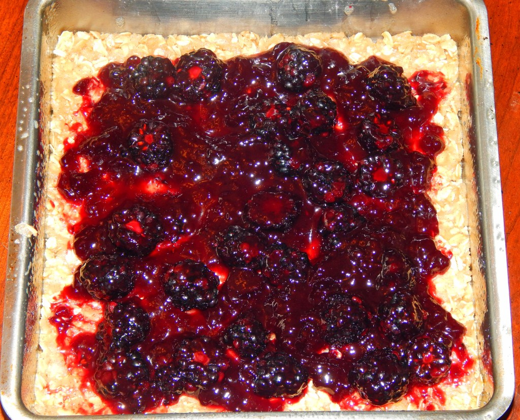 Blackberry Crumble Fruit Layer