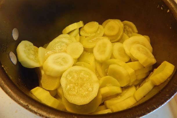 Squash "Coins"