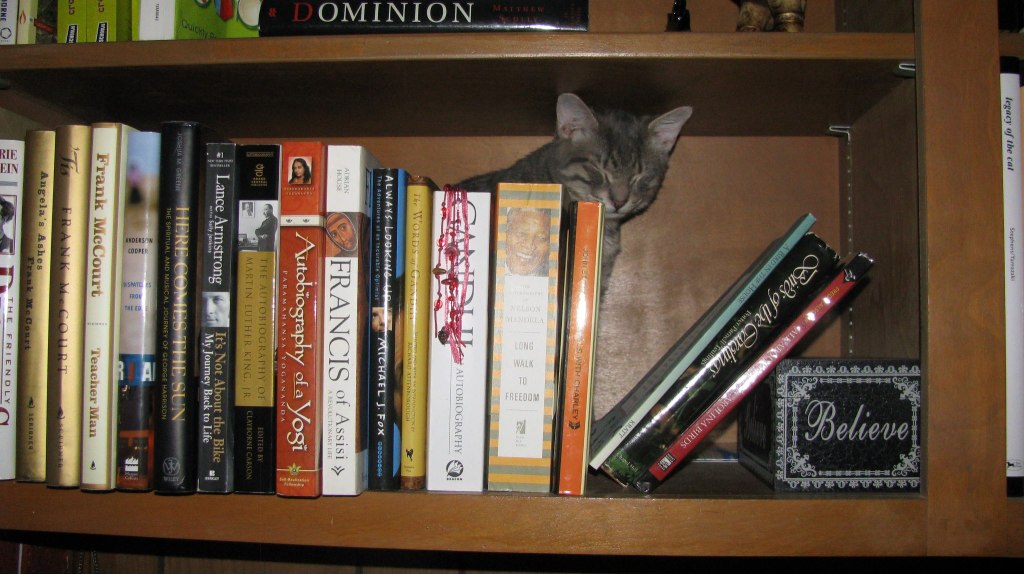 Frugal Friday:  Saving Money On Cookbooks (And Other&nbsp;Books)