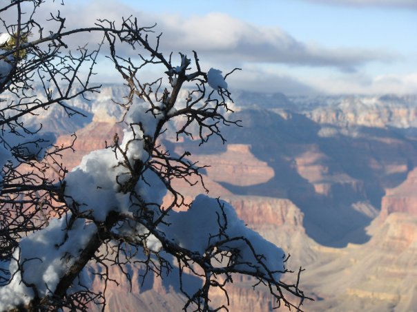 Grand Canyon - Bright Angel