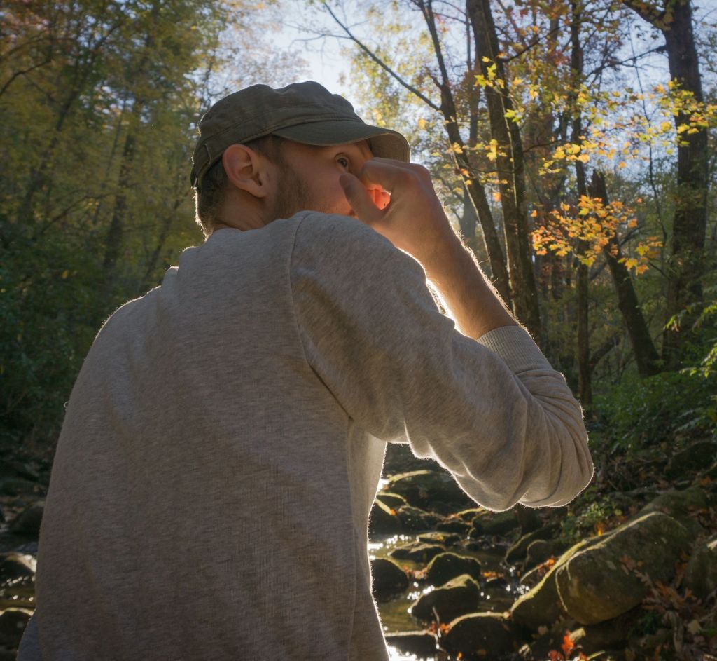 David In The South: In France They Speak French (Review and&nbsp;Interview)