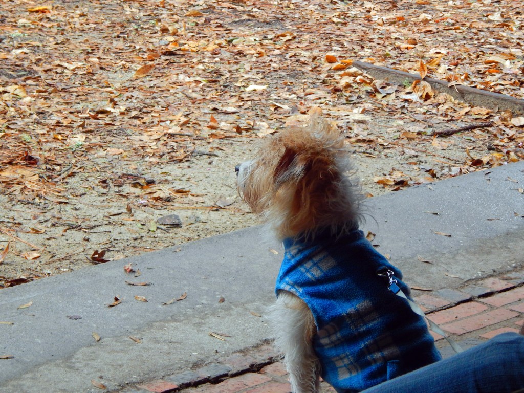 Take some time each day to enjoy nature