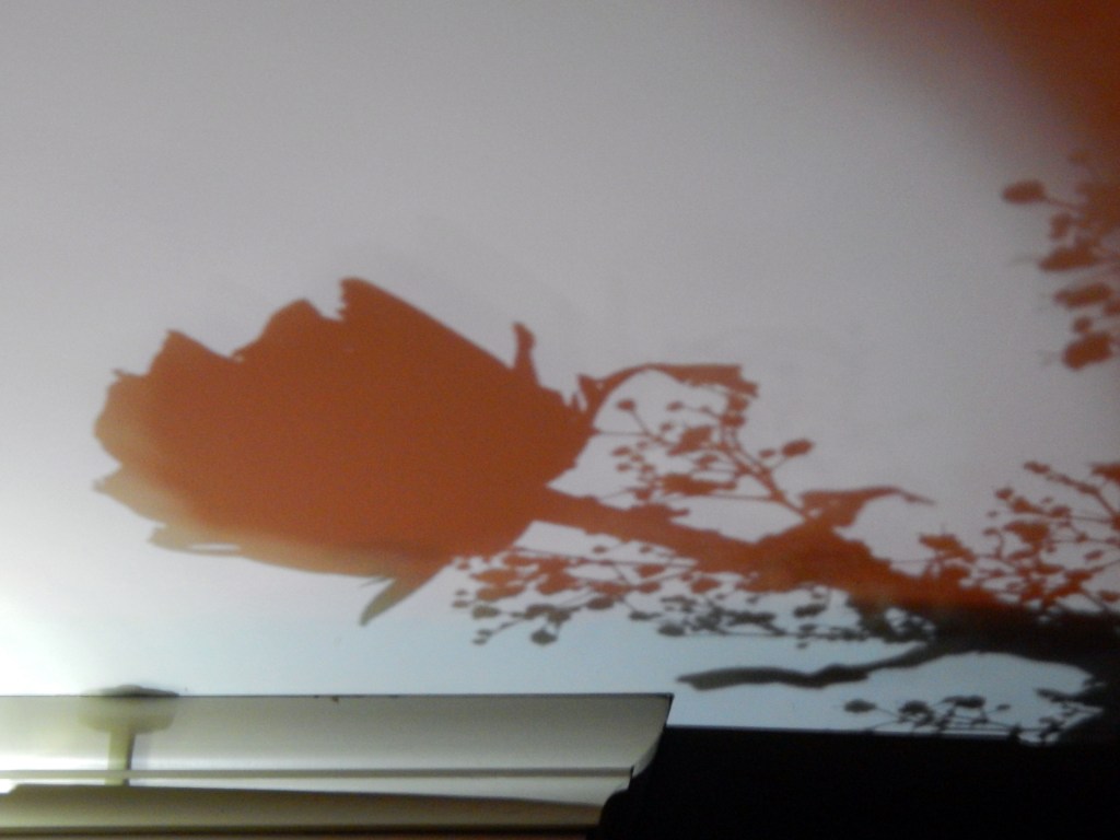 Shadow Thrown By Candlelight