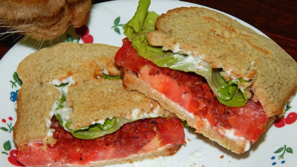 Keep An Eye On Your Sandwich