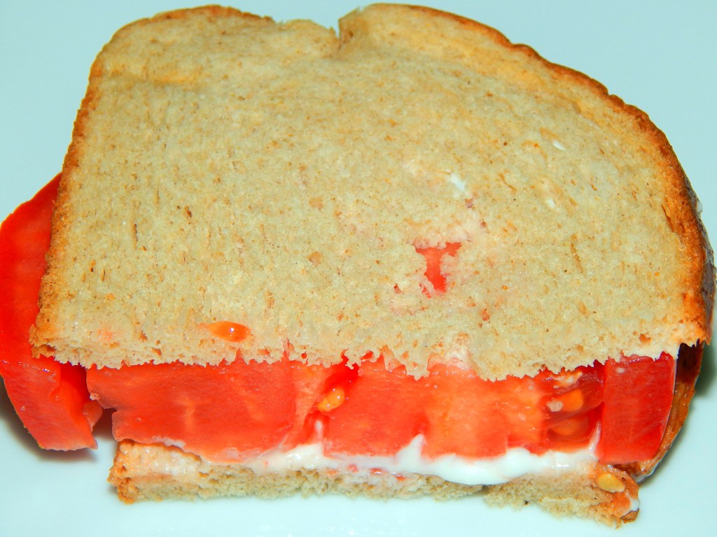 Simple Tomato Sandwich