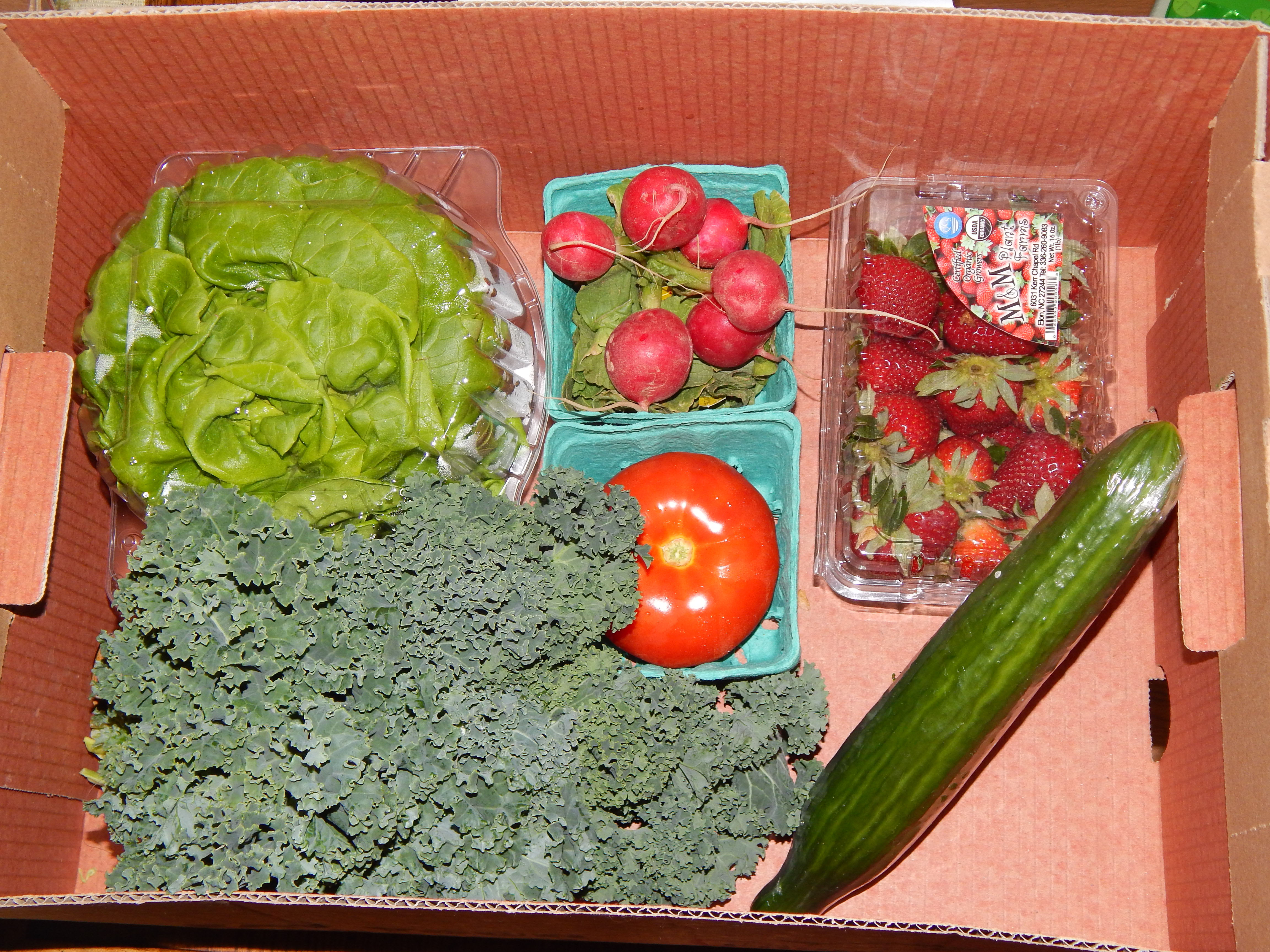 Organic Box