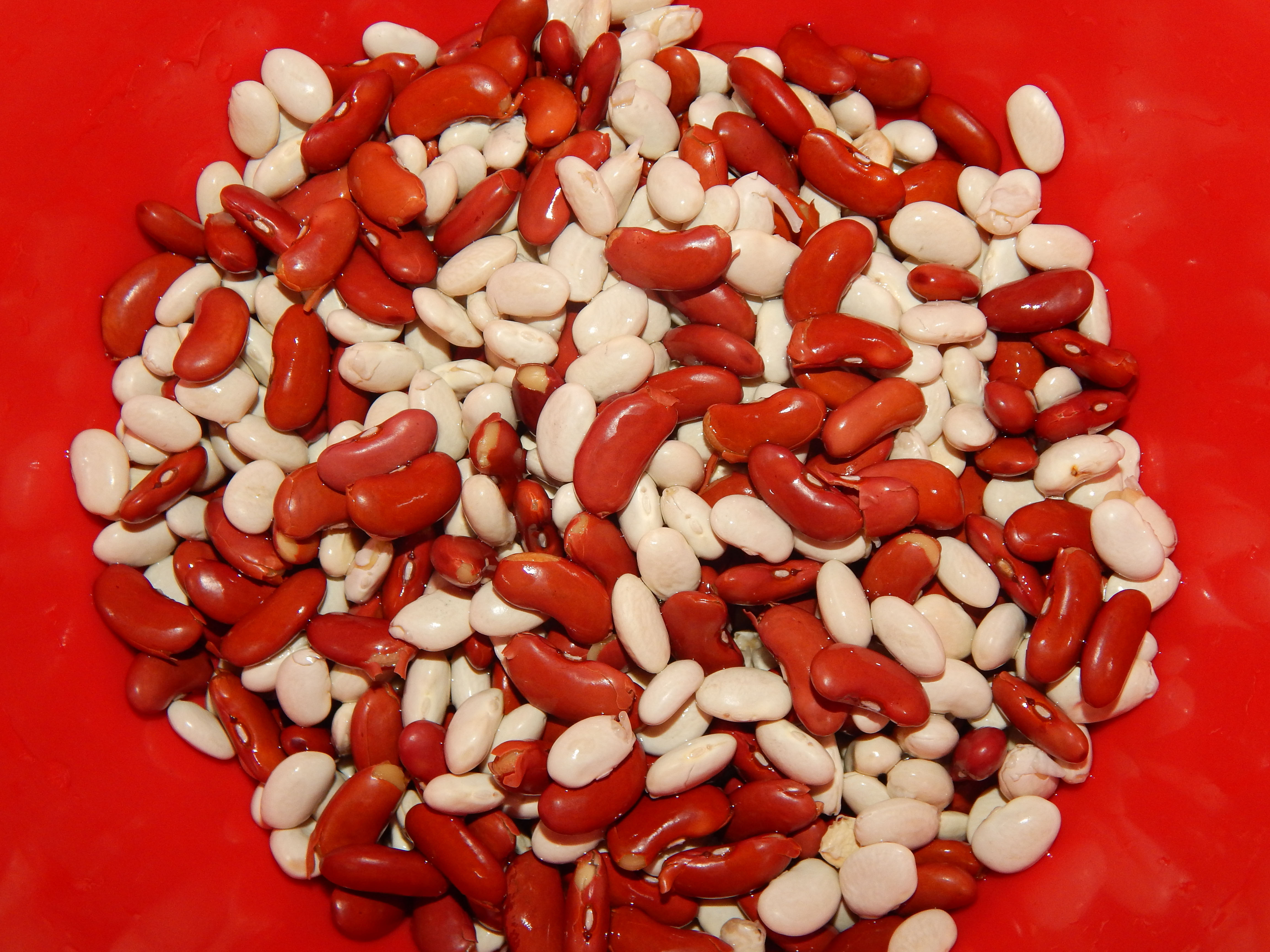 Mixed White and Red Kidney Beans