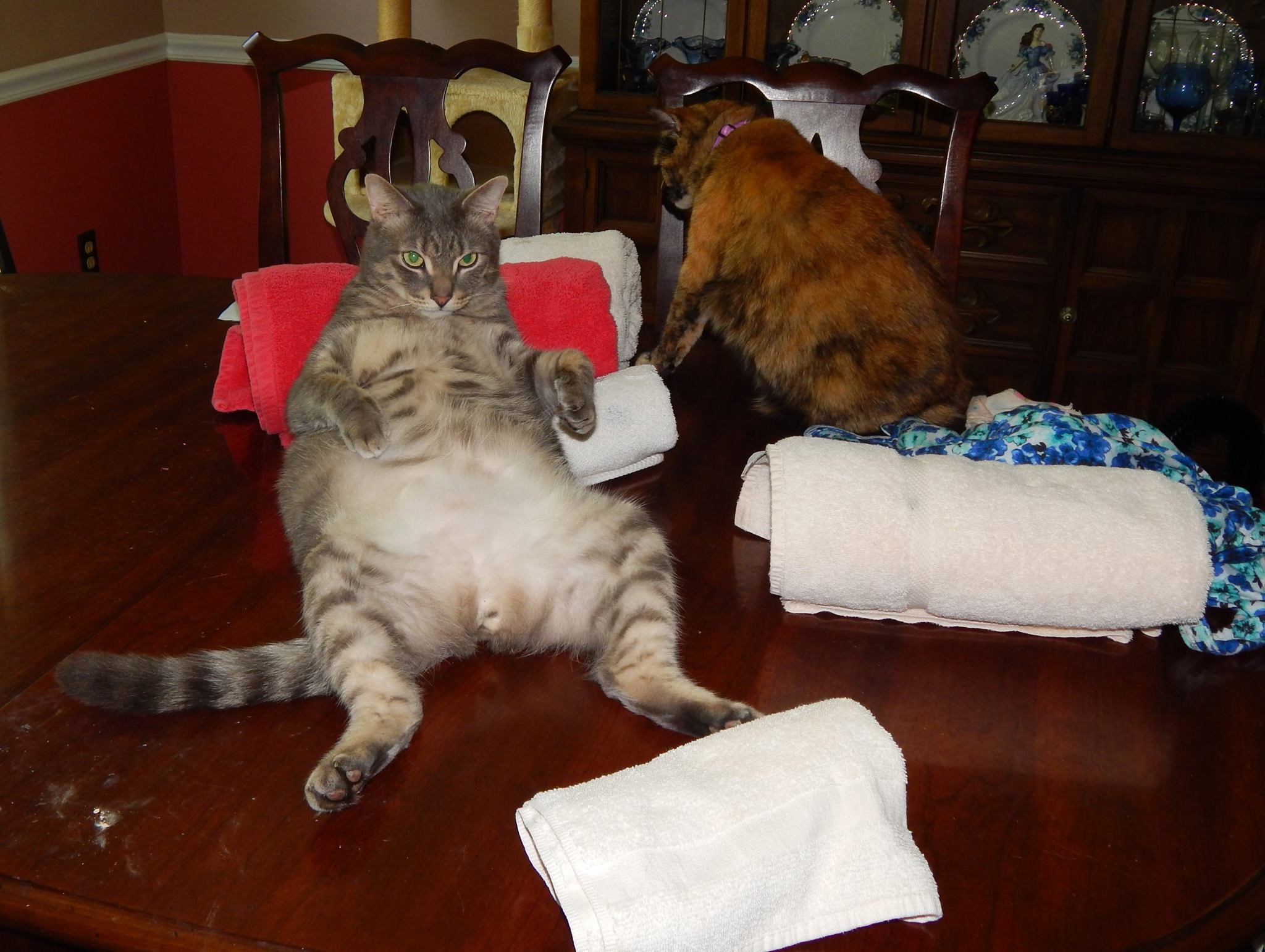 13433313_10208093184239768_2569519544668349857_o (1)