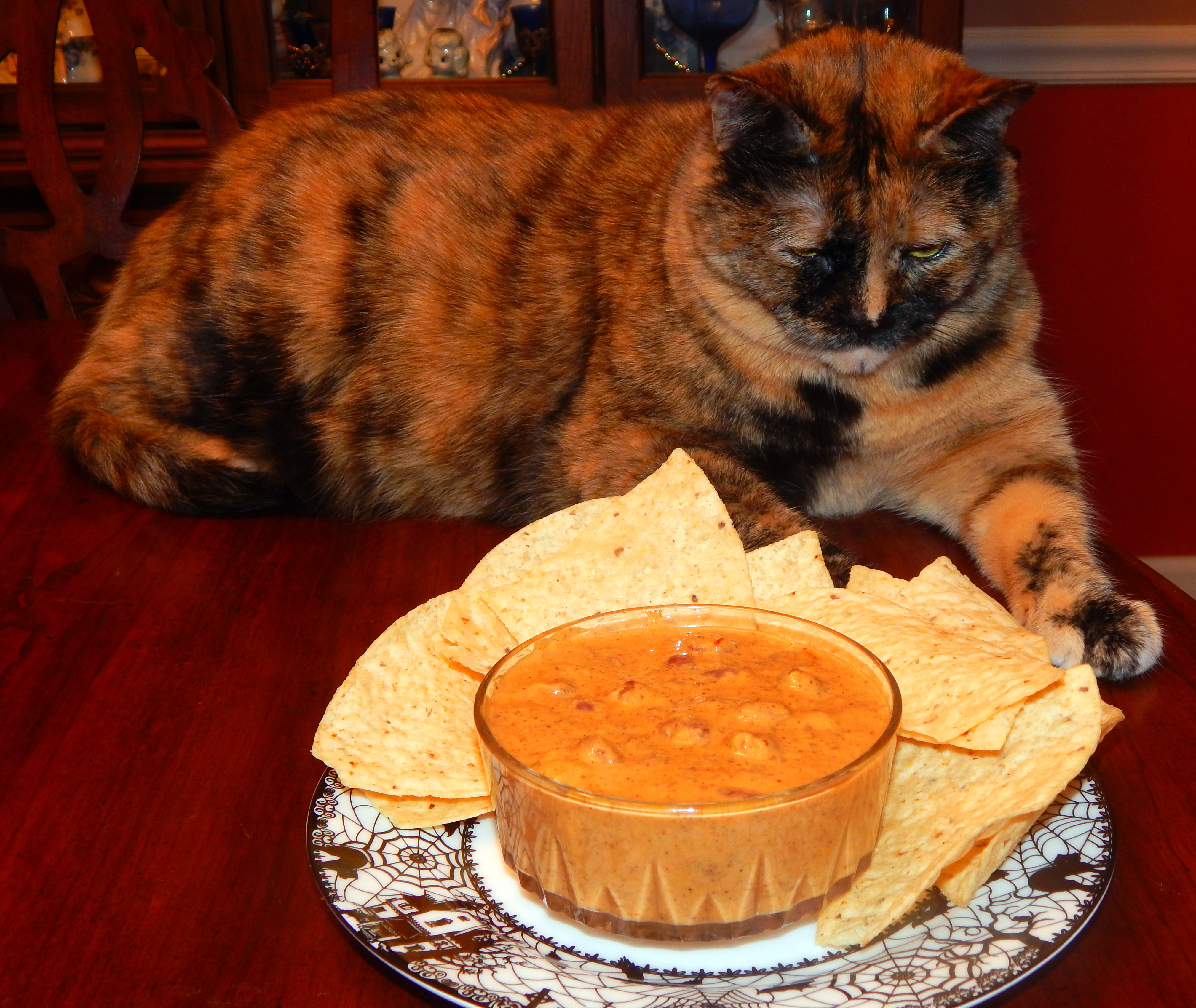 Baby Maggie Firsee Chili Cheese Dip Vegan