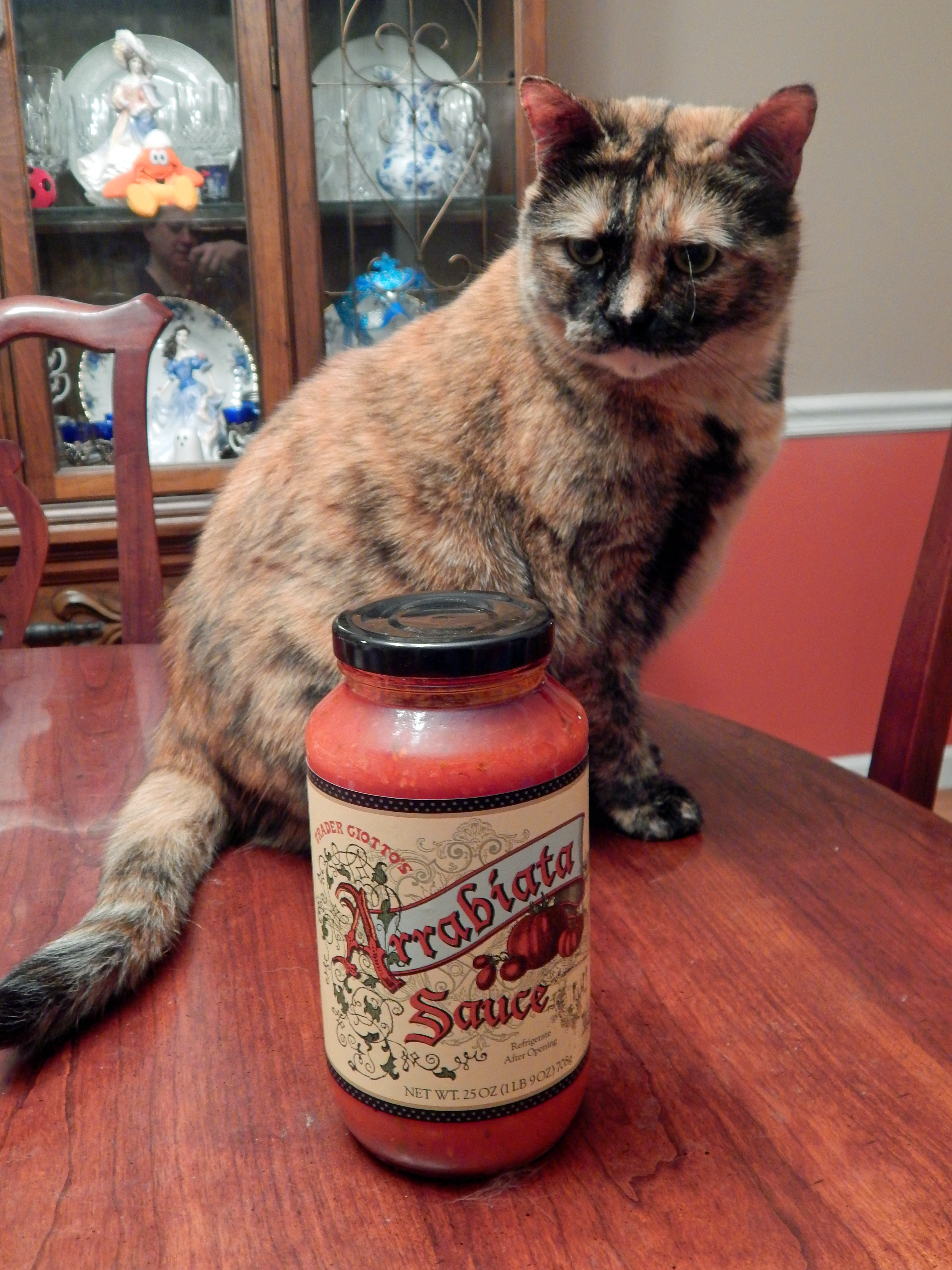Baby with Trader Joe Arriabiata Sauce.jpg