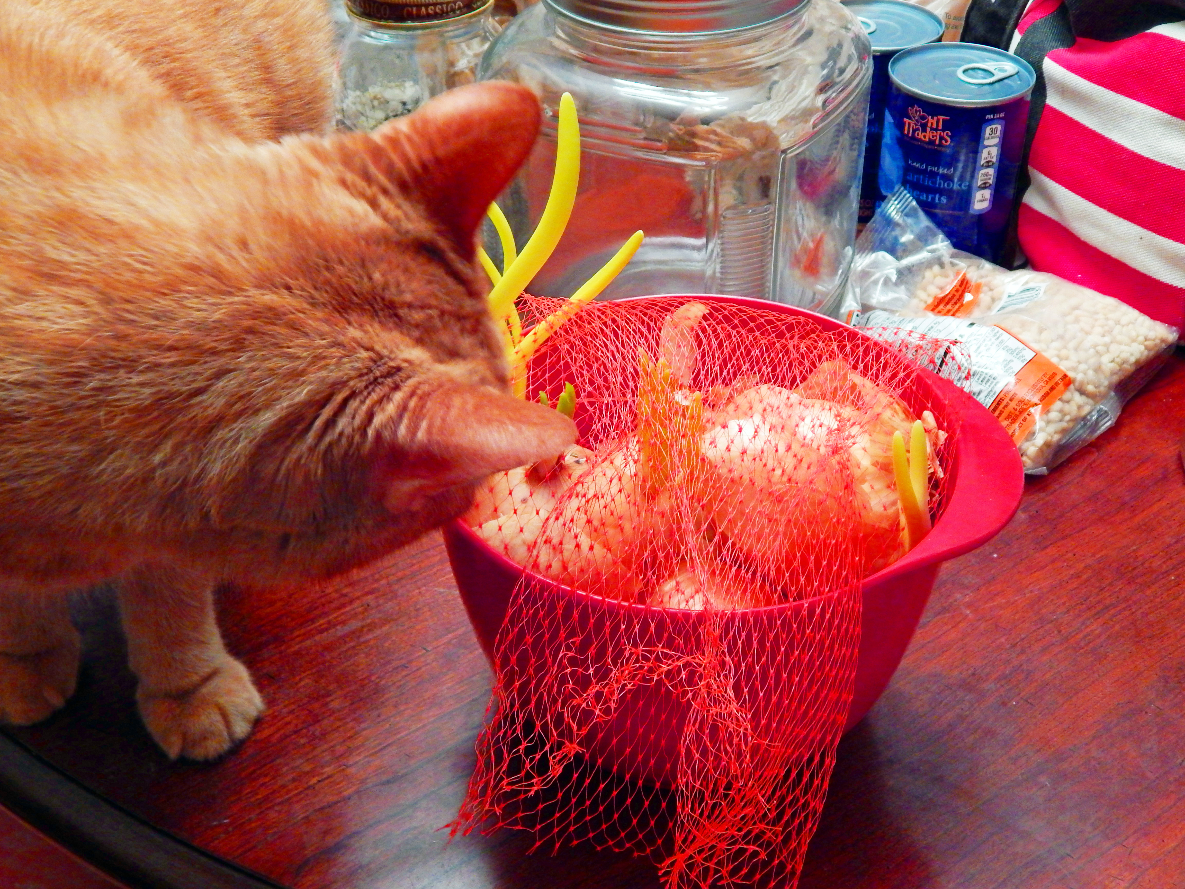 Better Days for Onions 2