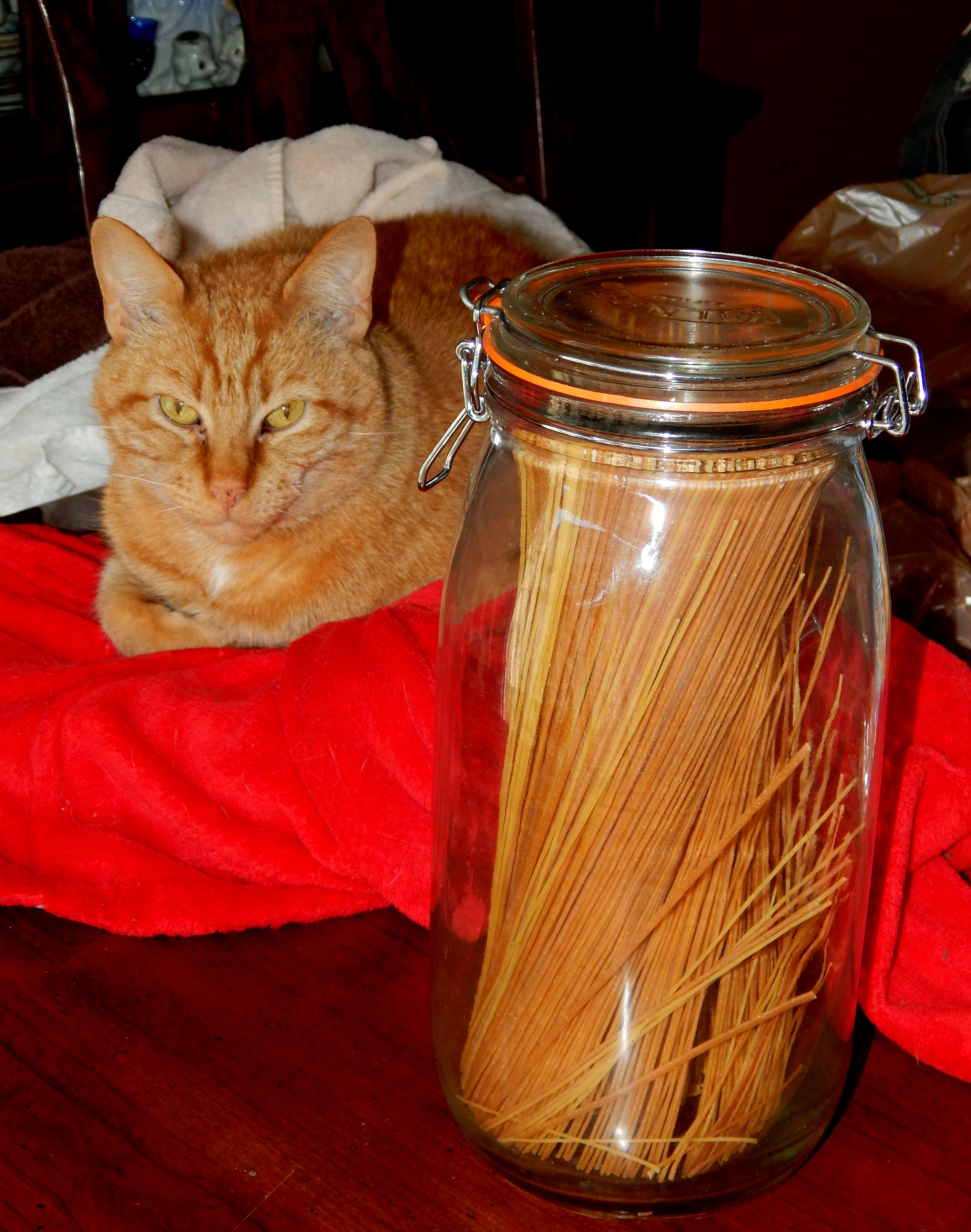 Harry and Whole Wheat Pasta