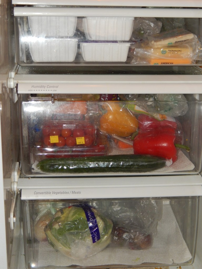 Lower Half of Fridge.jpg