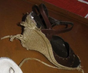 Chewed Shoe 2