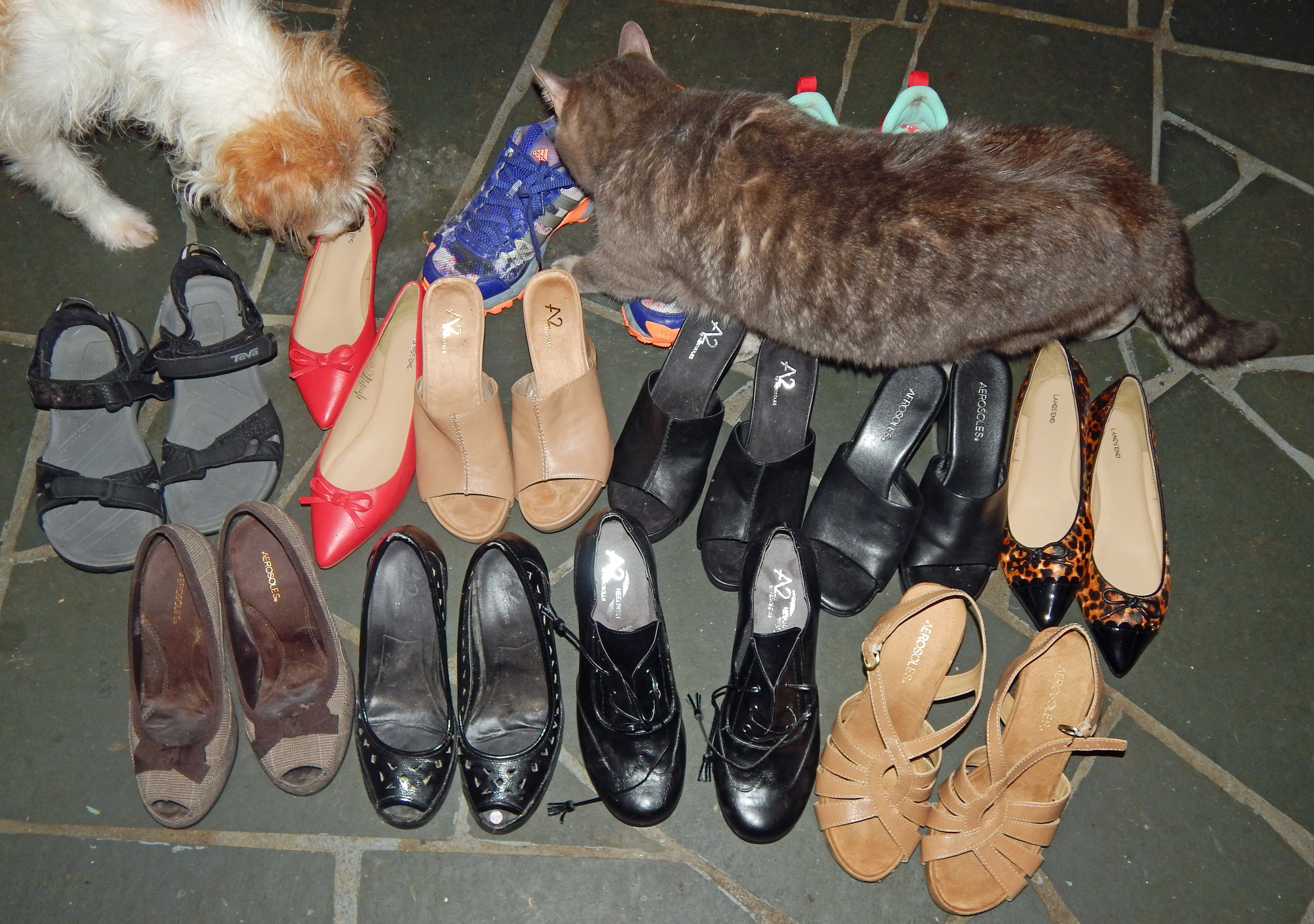 Shoes That Didn't Make The Cut