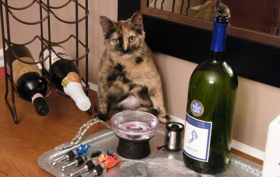 Maggie thank god its friday