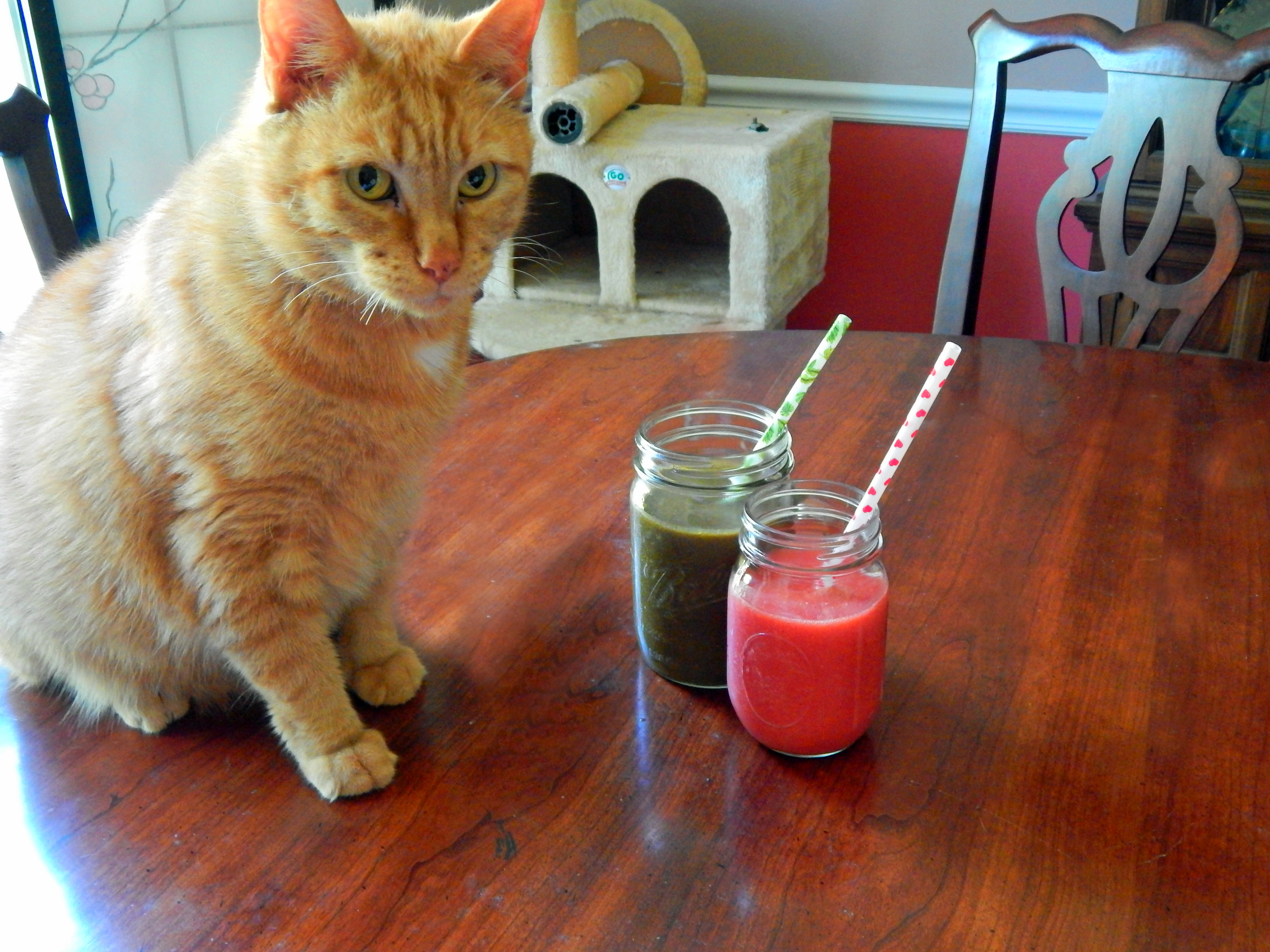 Prince Harry with Mary Mojitos