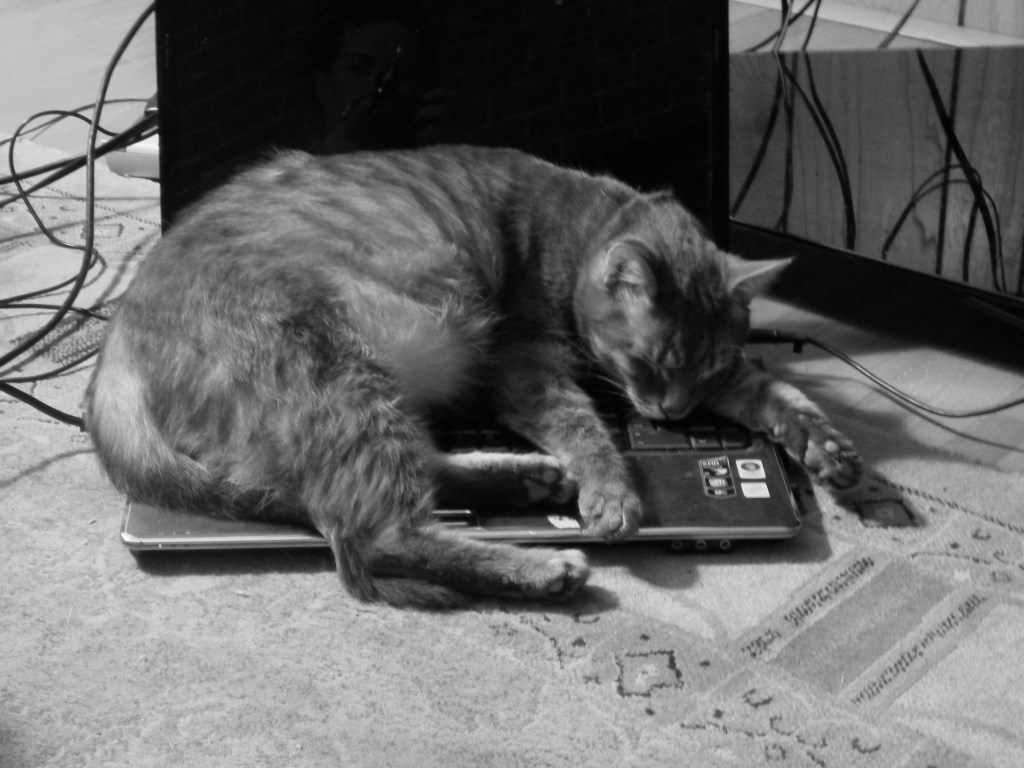 Ghost Story, Part IV – A Little Night&nbsp;Music