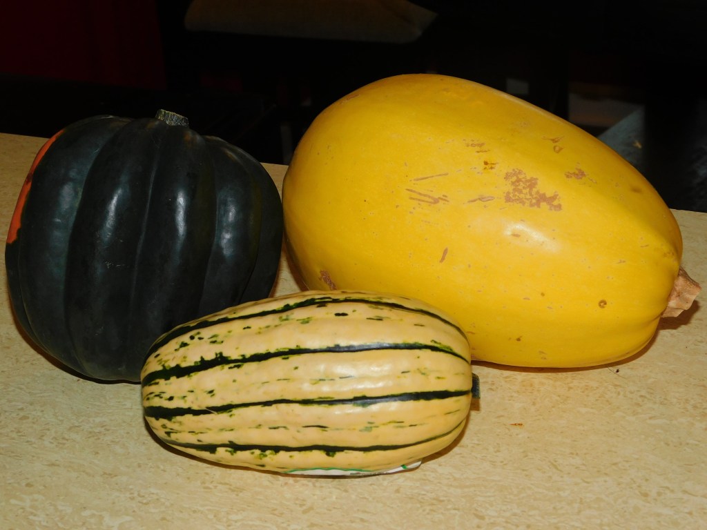 Trader Joe's Winter Squash