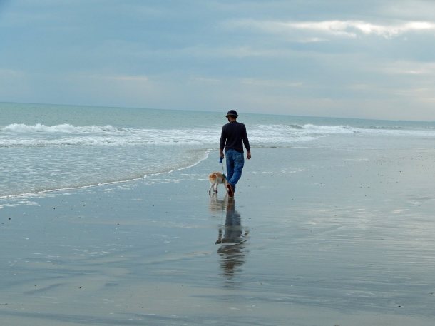 Dogs Are Welcome In SC